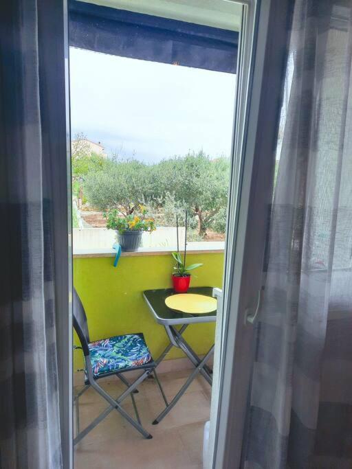 סולין Apartman Nane מראה חיצוני תמונה